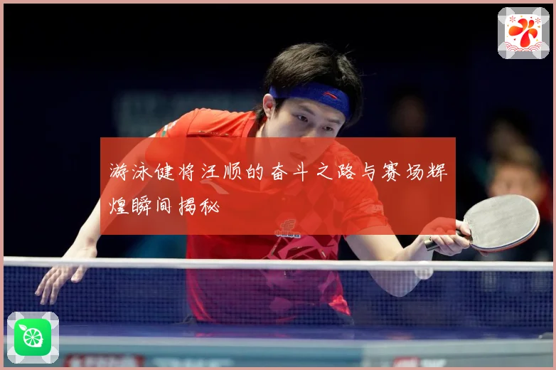 游泳健将汪顺的奋斗之路与赛场辉煌瞬间揭秘