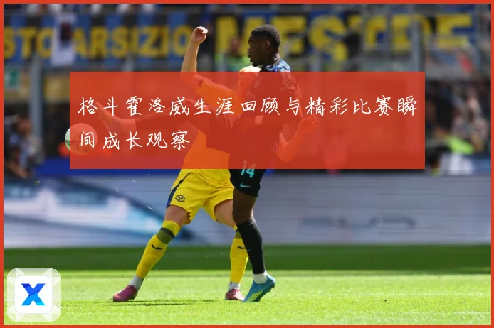 格斗霍洛威生涯回顾与精彩比赛瞬间成长观察