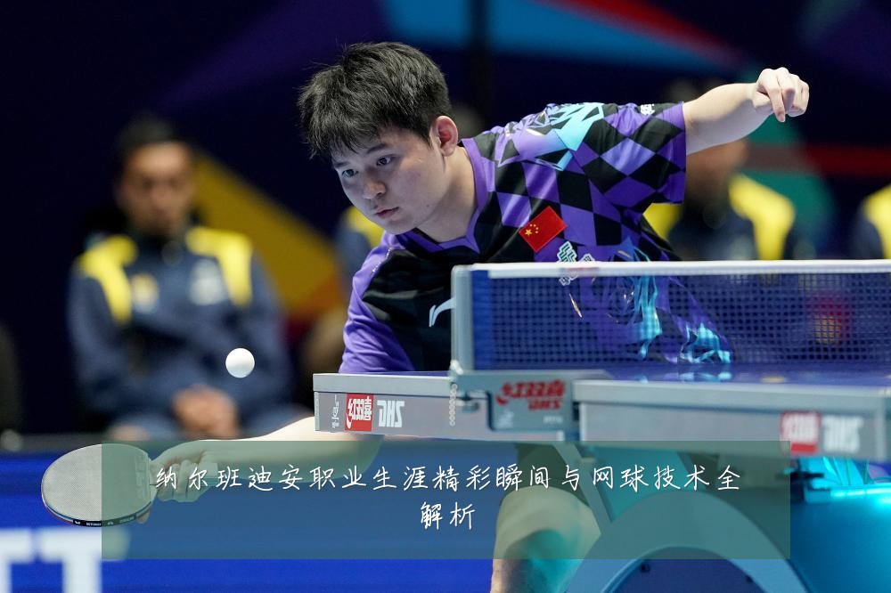 纳尔班迪安职业生涯精彩瞬间与网球技术全解析